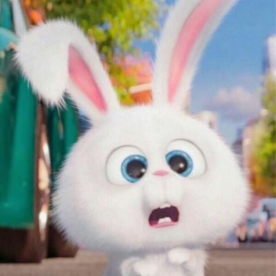 Trần Bảo Anh avatar